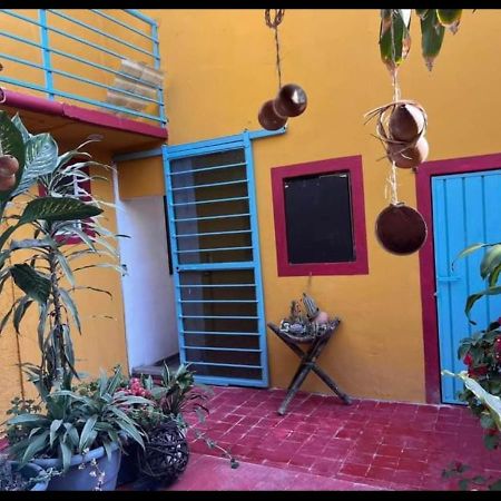 ホテル Casa Grey Oaxaca エクステリア 写真