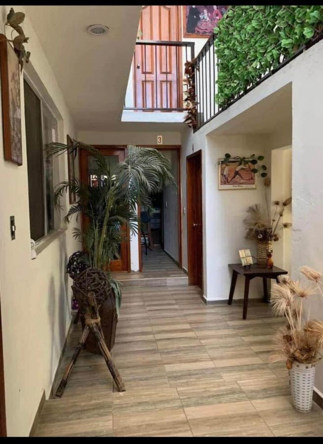 ホテル Casa Grey Oaxaca エクステリア 写真