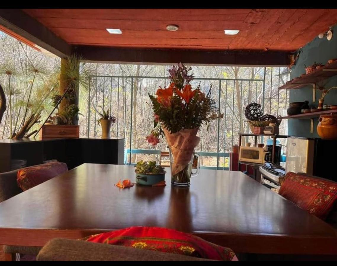 ホテル Casa Grey Oaxaca エクステリア 写真