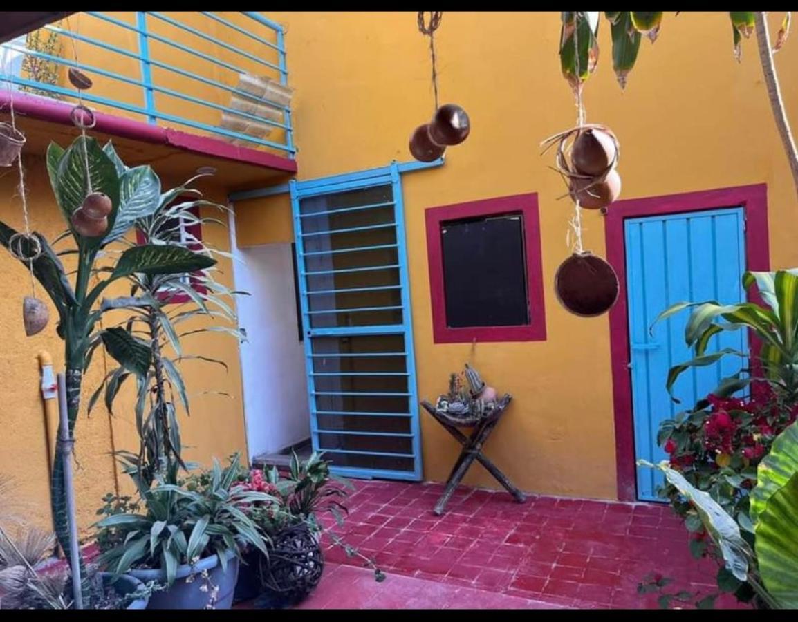 ホテル Casa Grey Oaxaca エクステリア 写真