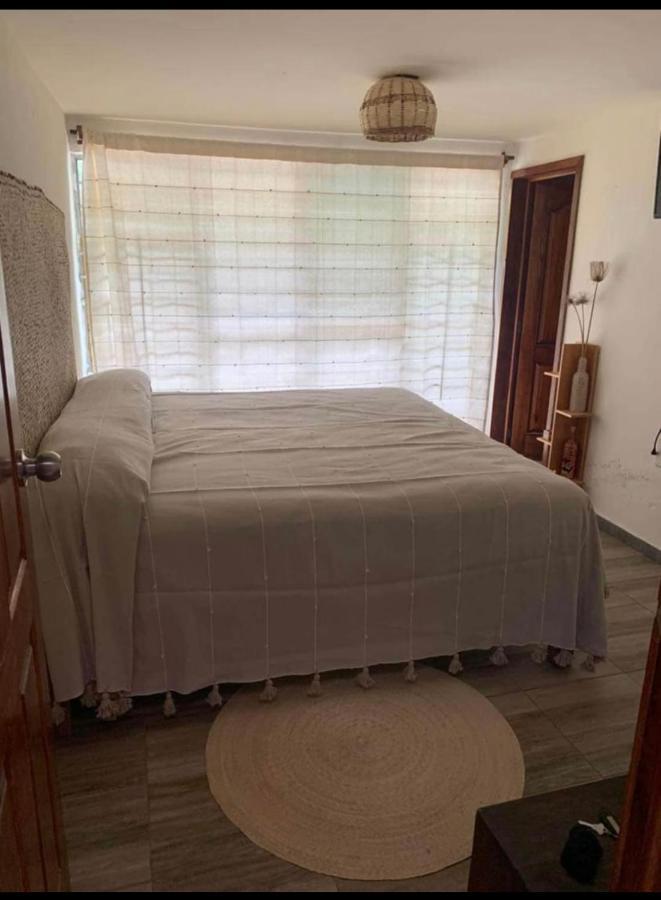 ホテル Casa Grey Oaxaca エクステリア 写真